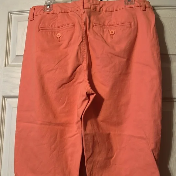 Style & Co.  Sz 10 Women’s Coral Pants - Picture 3 of 5